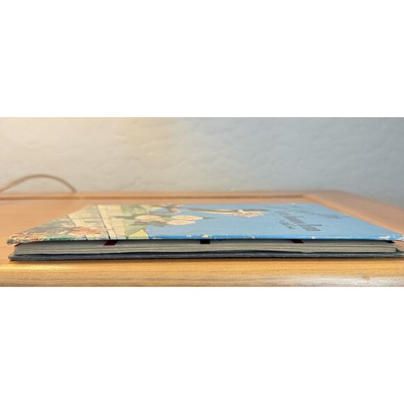 Vintage Children’s Book THE SONG OF THE LITTLE BROWN BIRD Gillette French 1941 - Picture 11 of 13